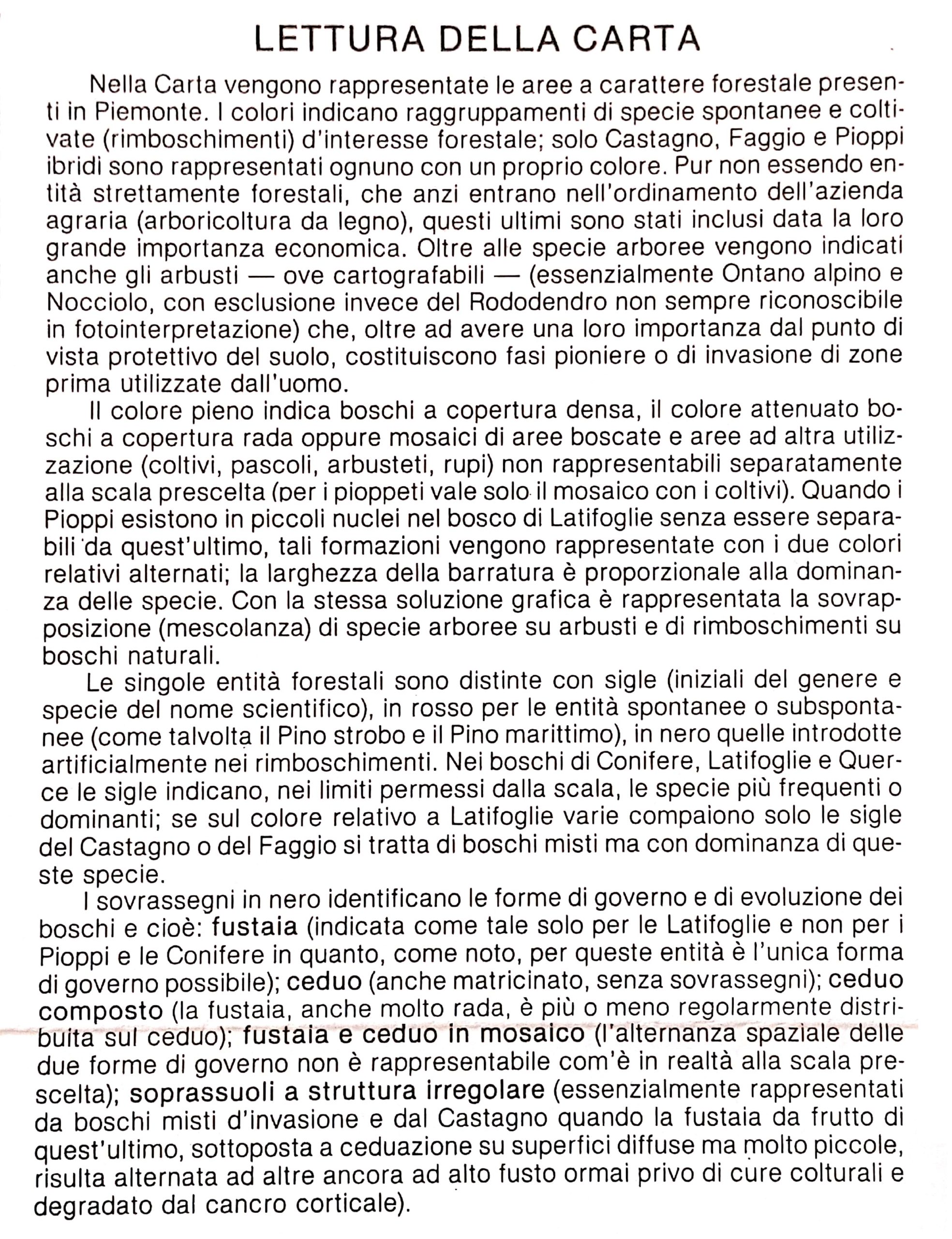 Lettura della carta